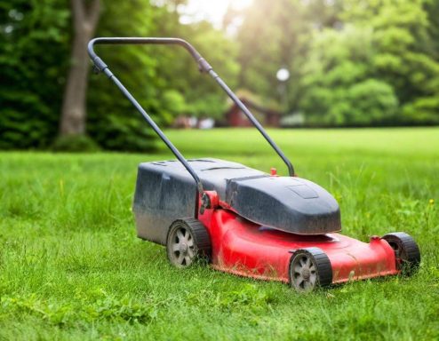 Roter Rasenmäher auf grünem Gras im Freien.